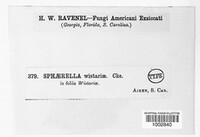 Image Associated With the Occurence
